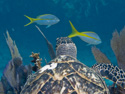 Key Largo